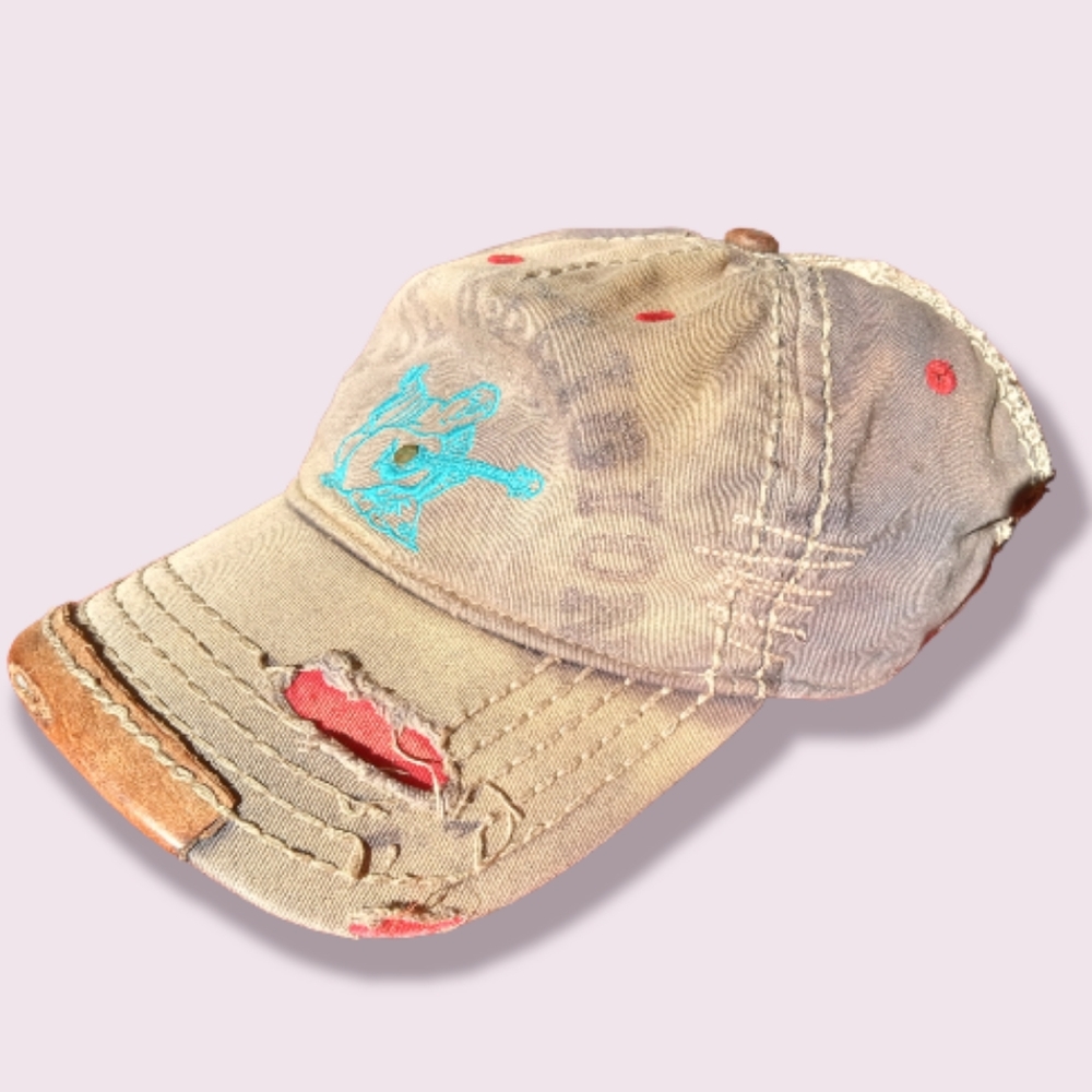 True Religion Distressed cap